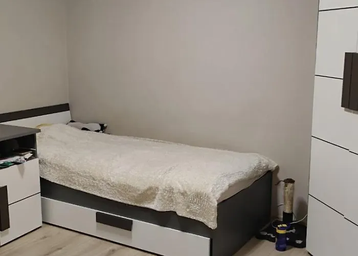 Noclegiwifiparking Pensionat *